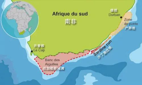 出口中國的機(jī)遇如何拉動(dòng)南非經(jīng)濟(jì)增長