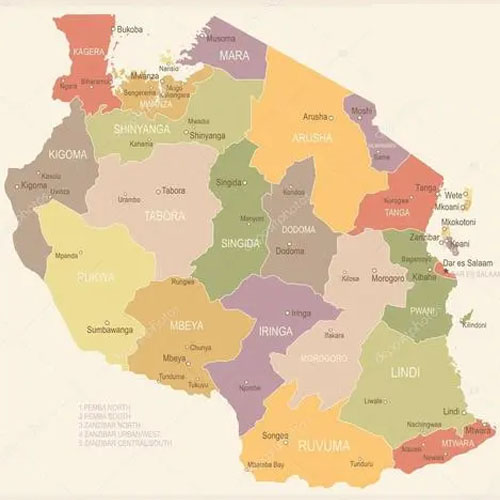 坦桑尼亞空運(yùn)專線